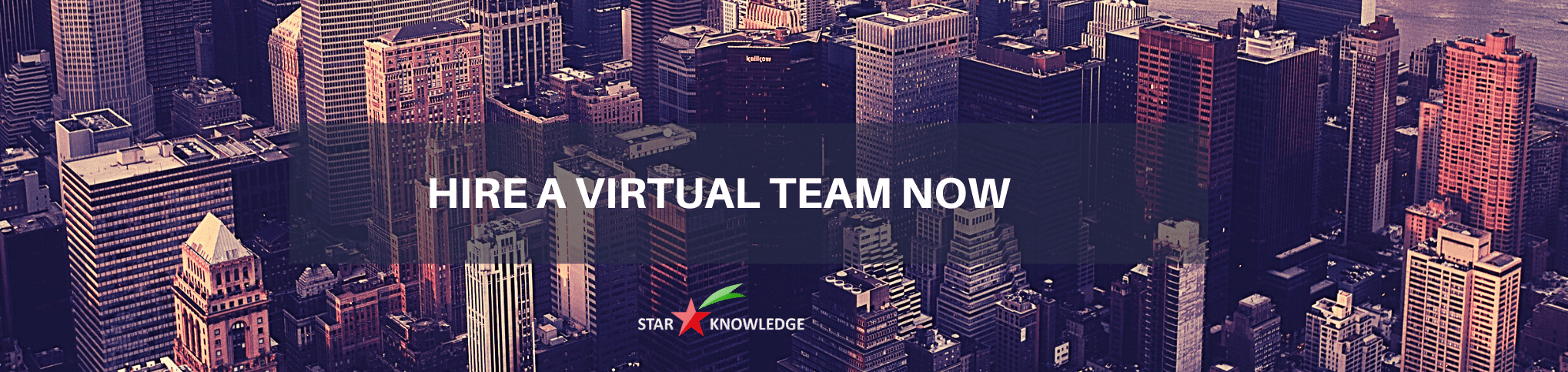 Hire virtual team