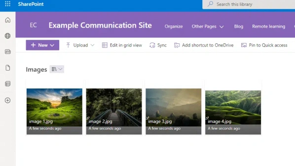 sharepoint picture library