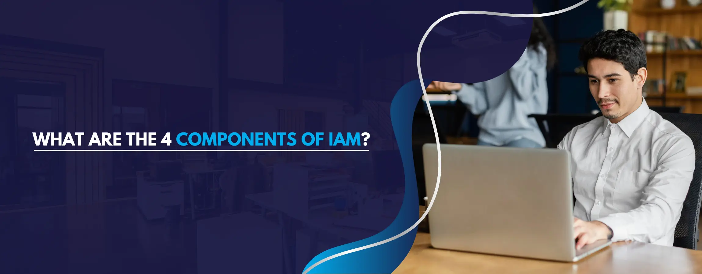 What are the 4 components of IAM