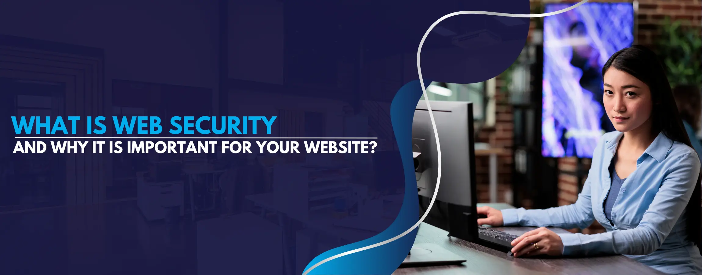 What is Web Security